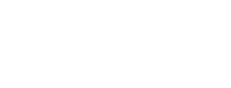 Science Notes LLC Logo