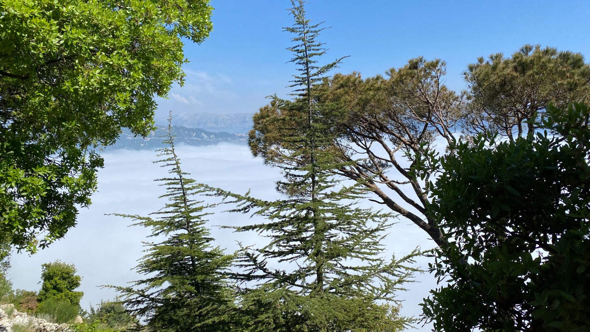 Saint Charbel Hermitage, Annaya
