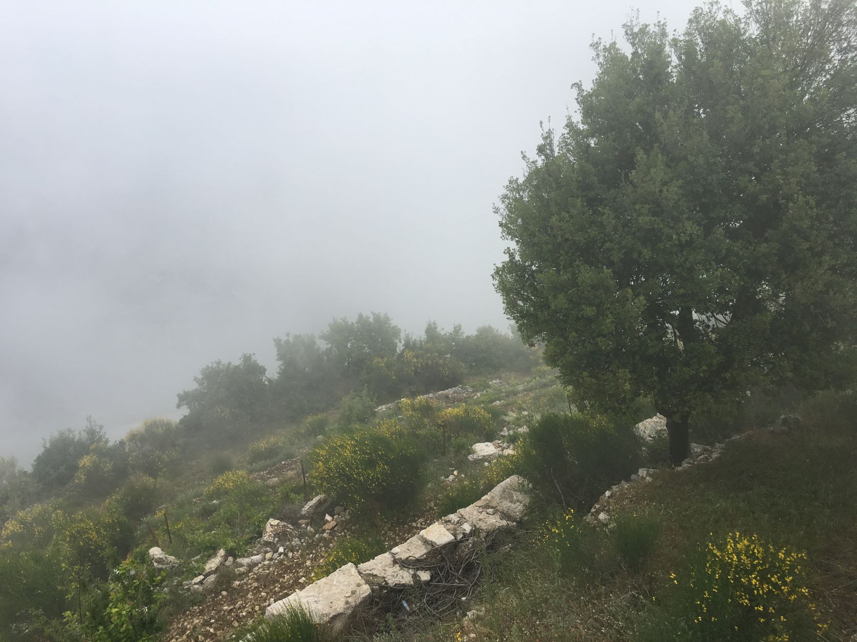 Saint Charbel Hermitage, Annaya